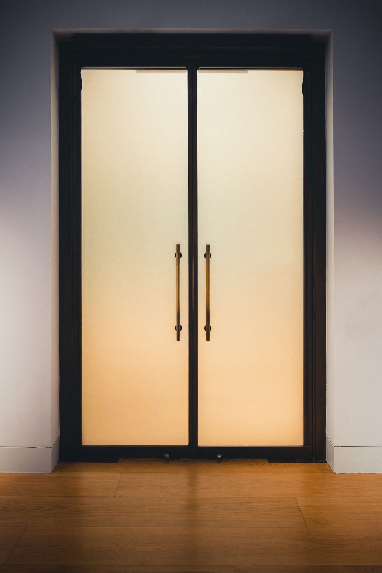 Aluminium Glass Doors